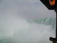 Nikita+Lenore Wedding Toronto - 187 